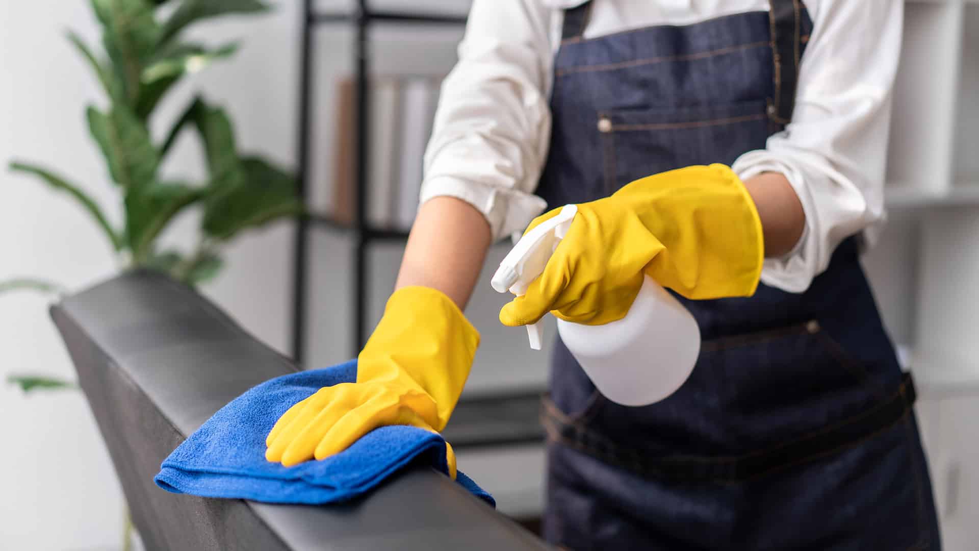 Cleaning Service